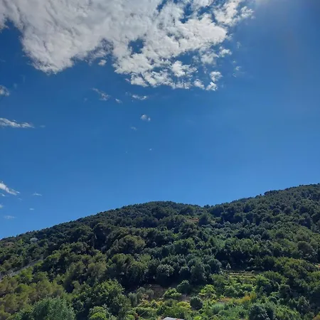 Beautiful 2 With Terrace Appartement